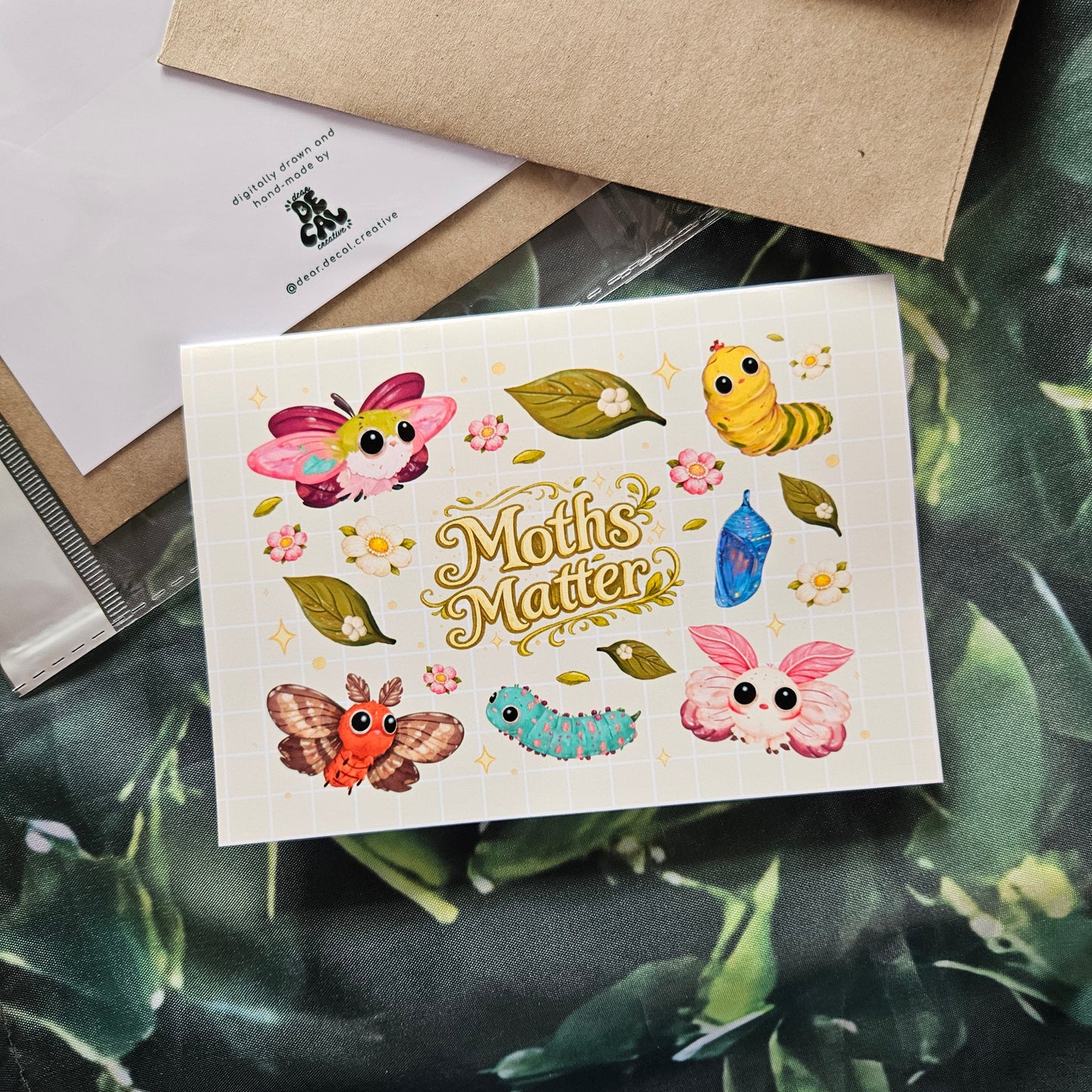 Moths Matter Card