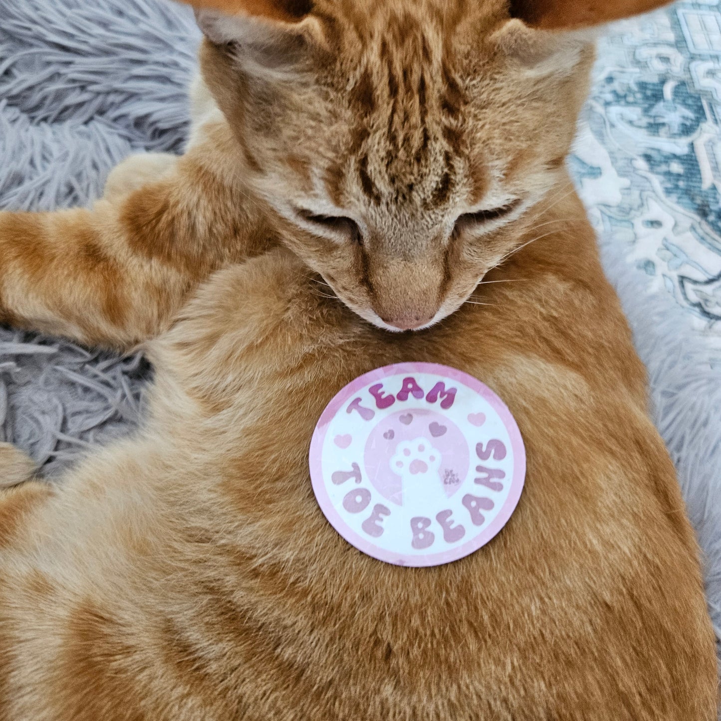 Team Toe Beans Sticker