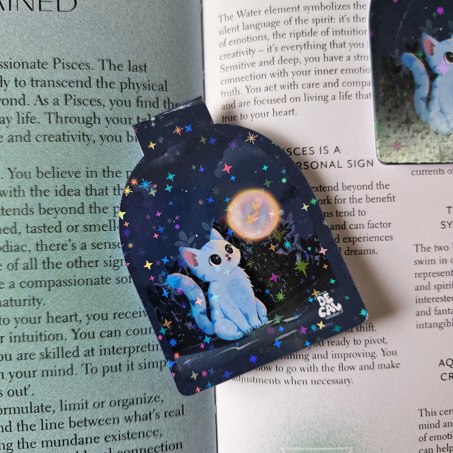 Night Wish Magnetic Bookmark